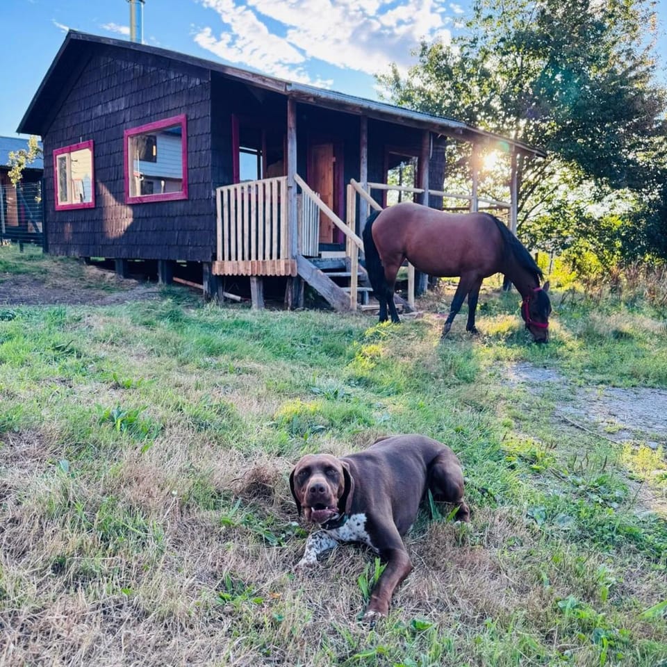Cabaña 2 - Rancho Doble AA House in Los Lagos, Chile