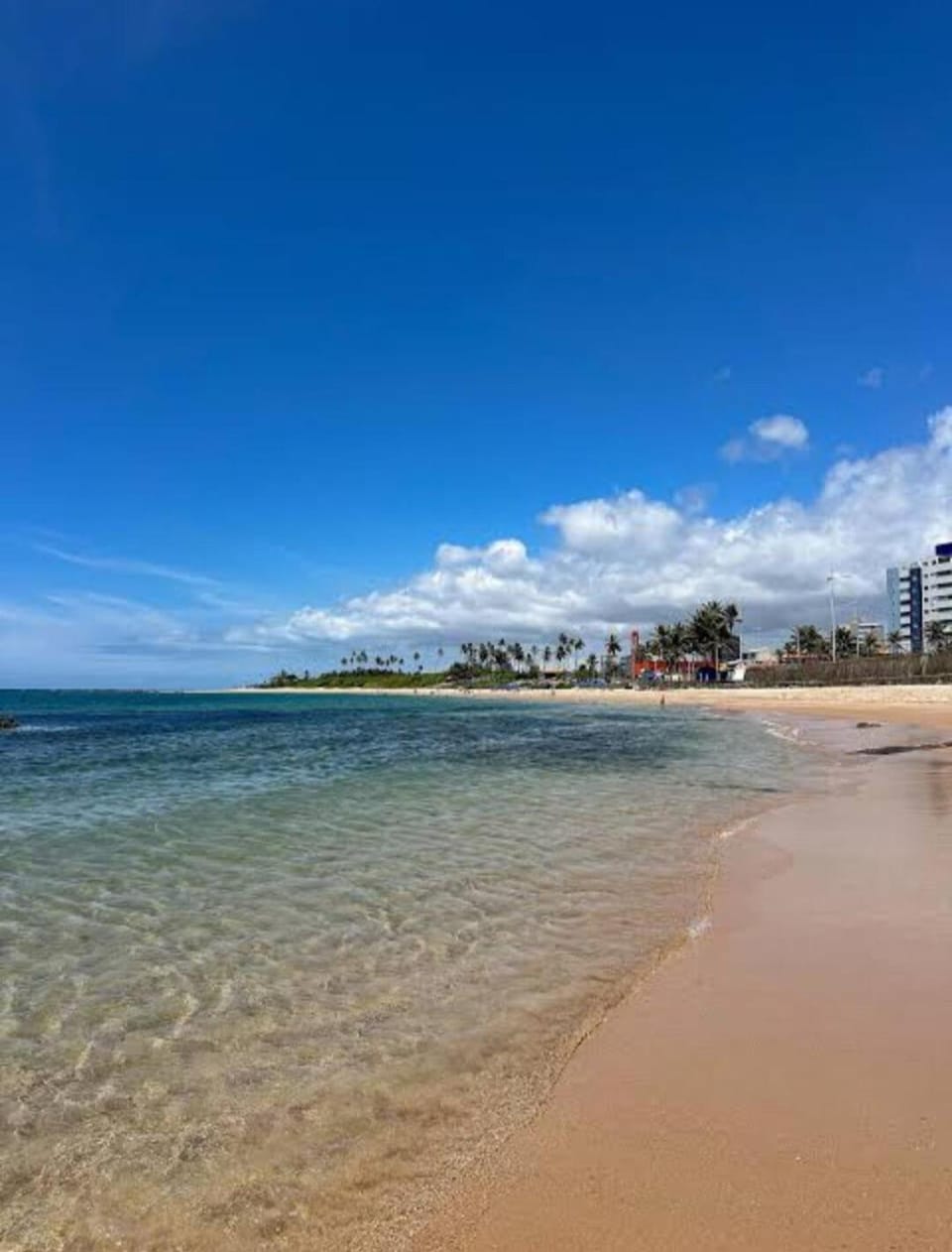 Apartment at Salvador Bahia Carnival 2026 for this price Apartment in Salvador