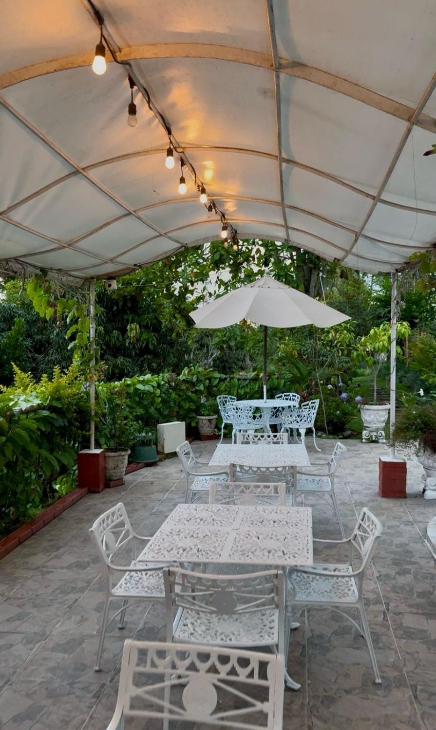 Lounge or bar