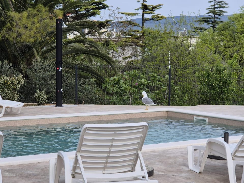 Patio, Swimming pool