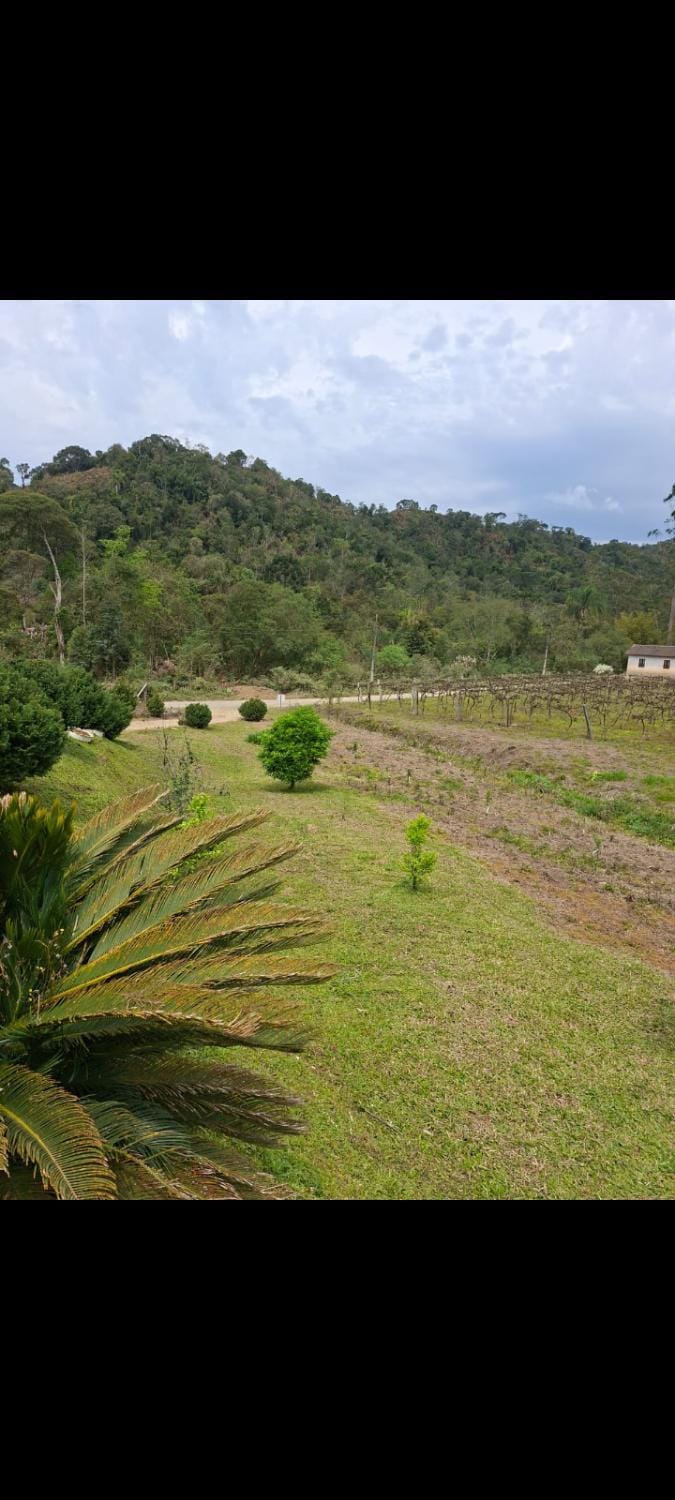 Sitio4meninos House in State of Santa Catarina