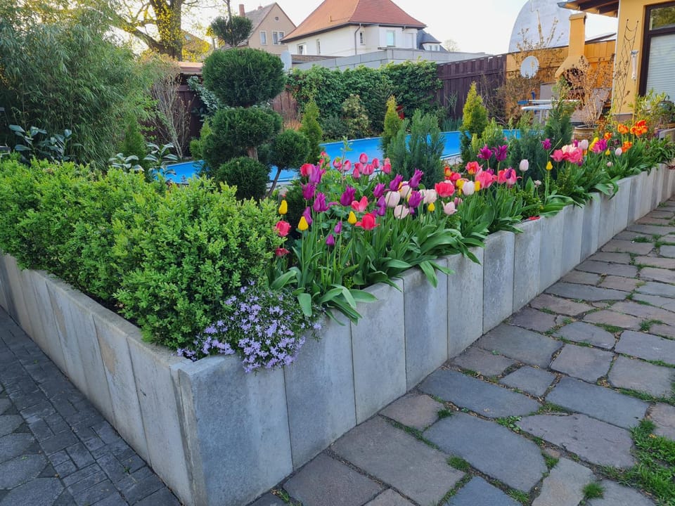 Garden, Swimming pool
