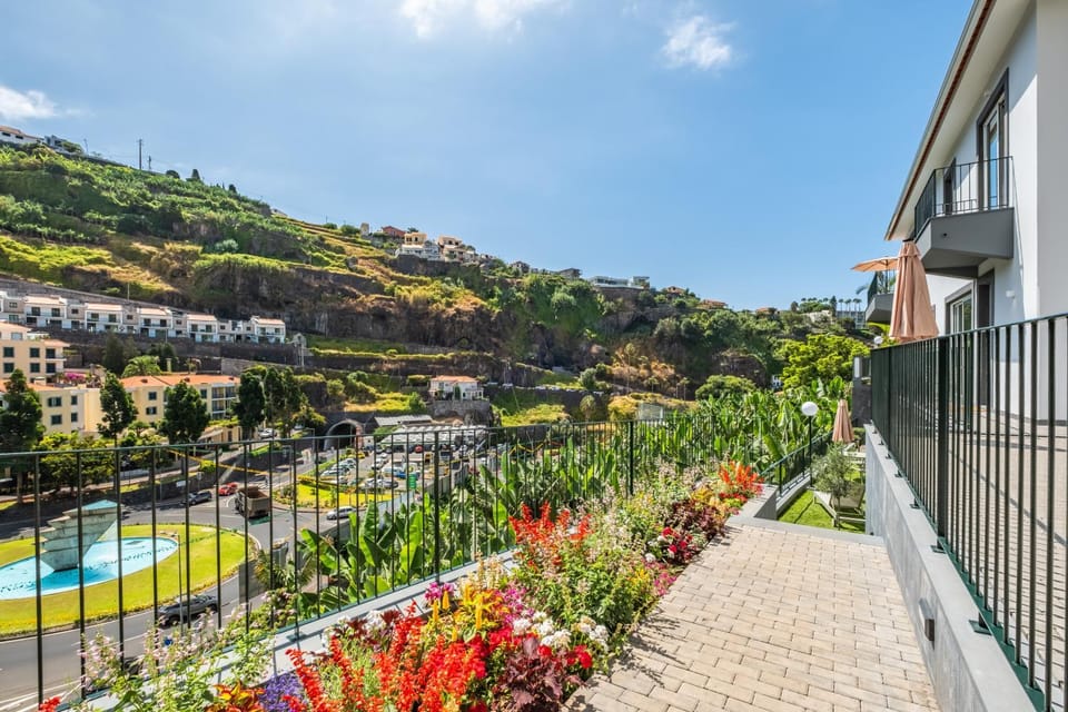 Natural landscape, Garden
