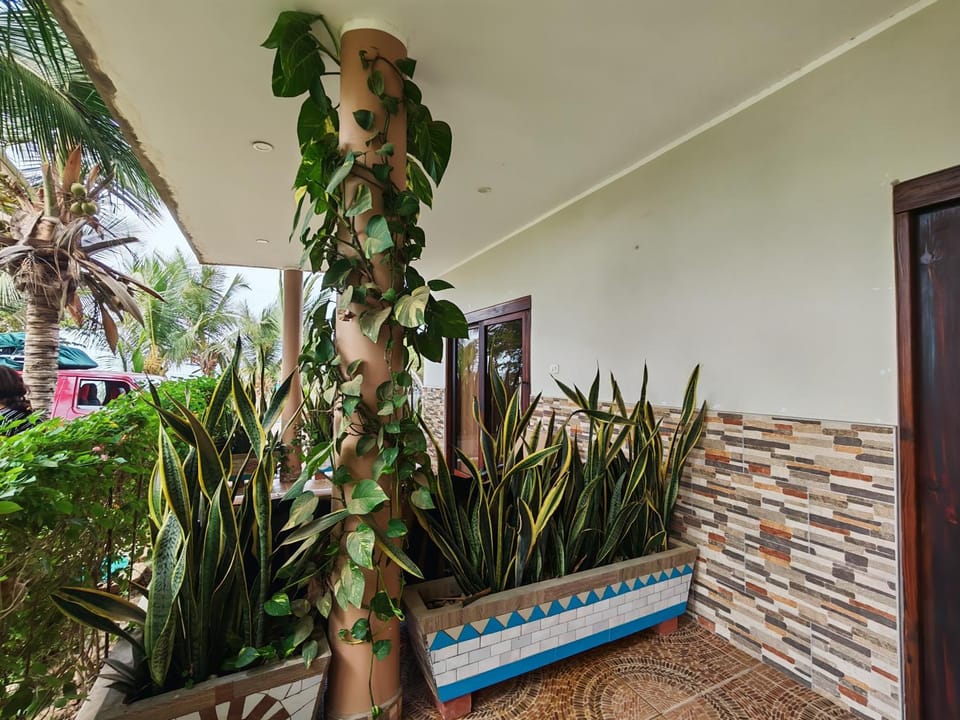 Hospedaje Máncora Bed and Breakfast in Mancora District