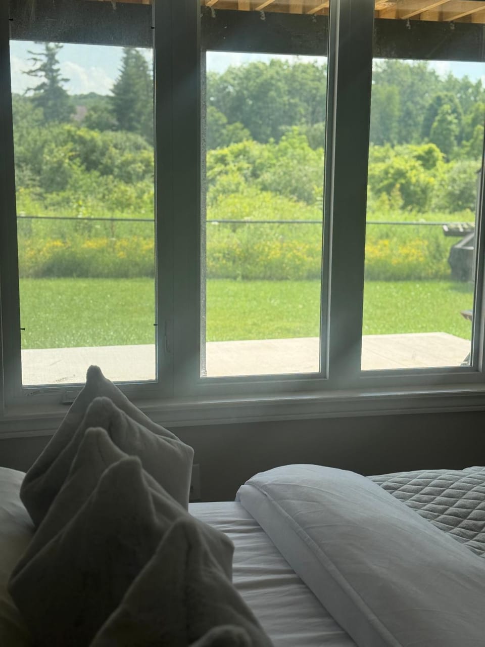 Bed, Natural landscape, Garden, Bedroom, Garden view