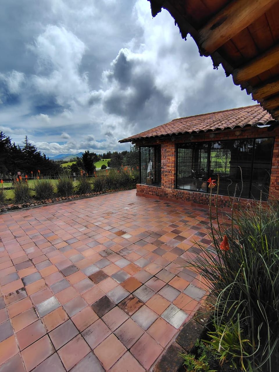 Garden view