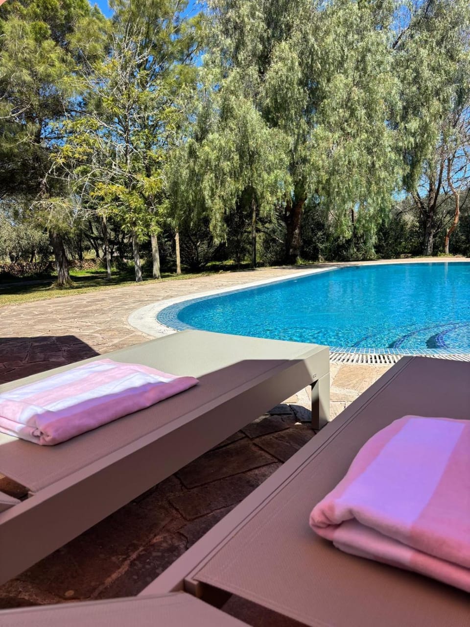 sunbed