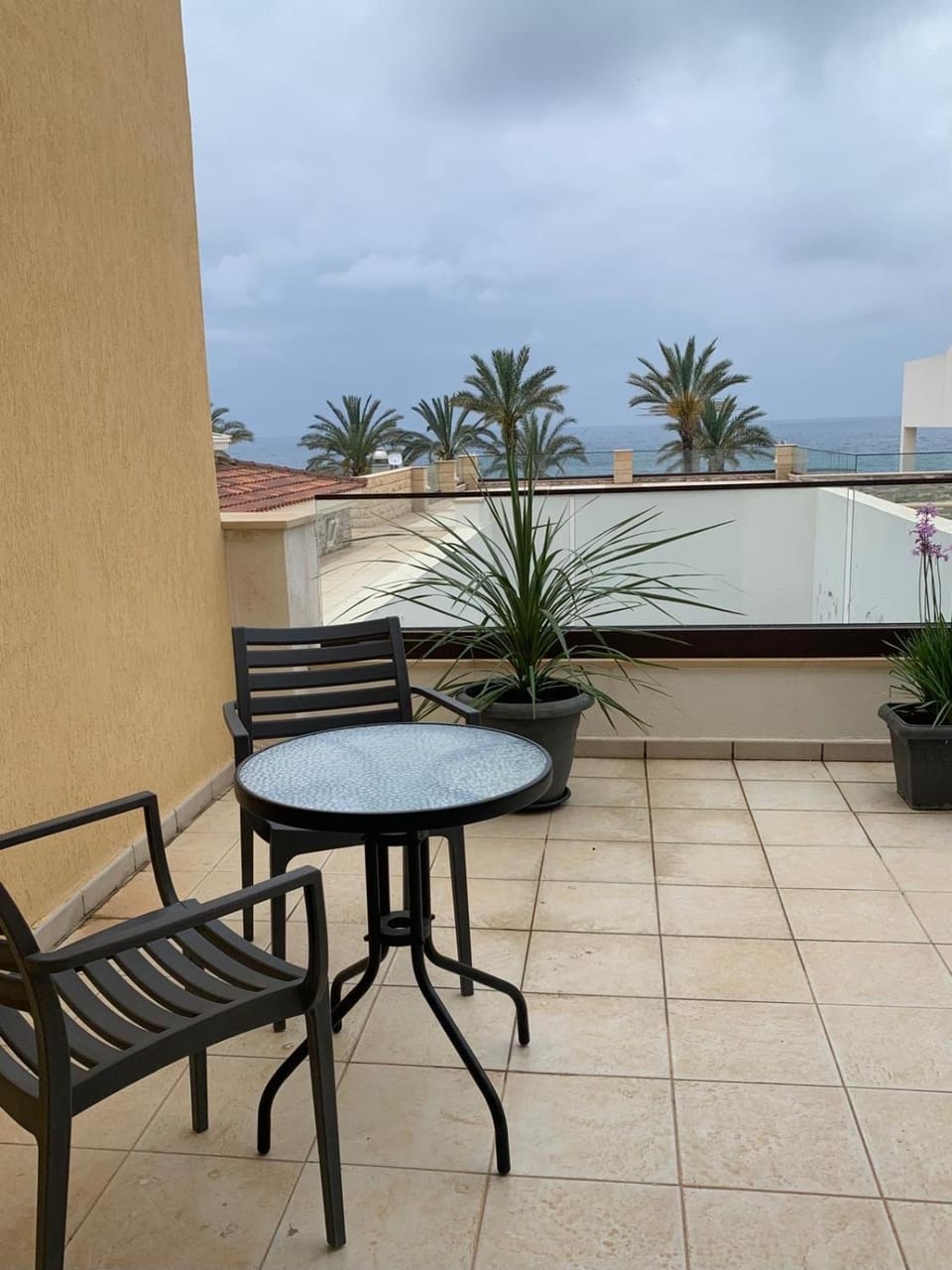 Casa Milla Apartment mit großer Terrasse Meerblick direkt am Meer Apartment in Paphos District