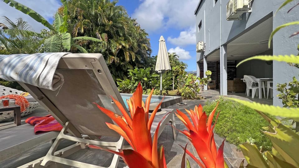 Patio, Garden, Garden view