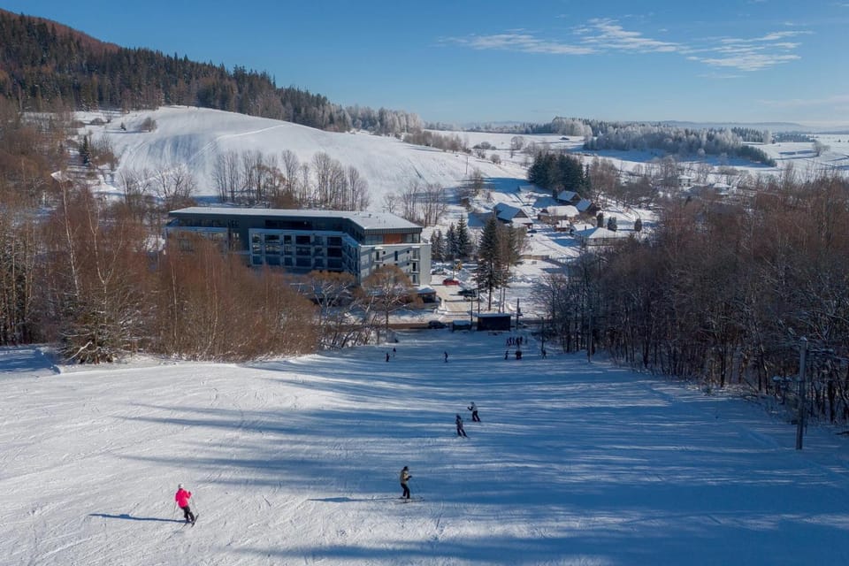 Day, People, Natural landscape, Winter, Skiing, group of guests