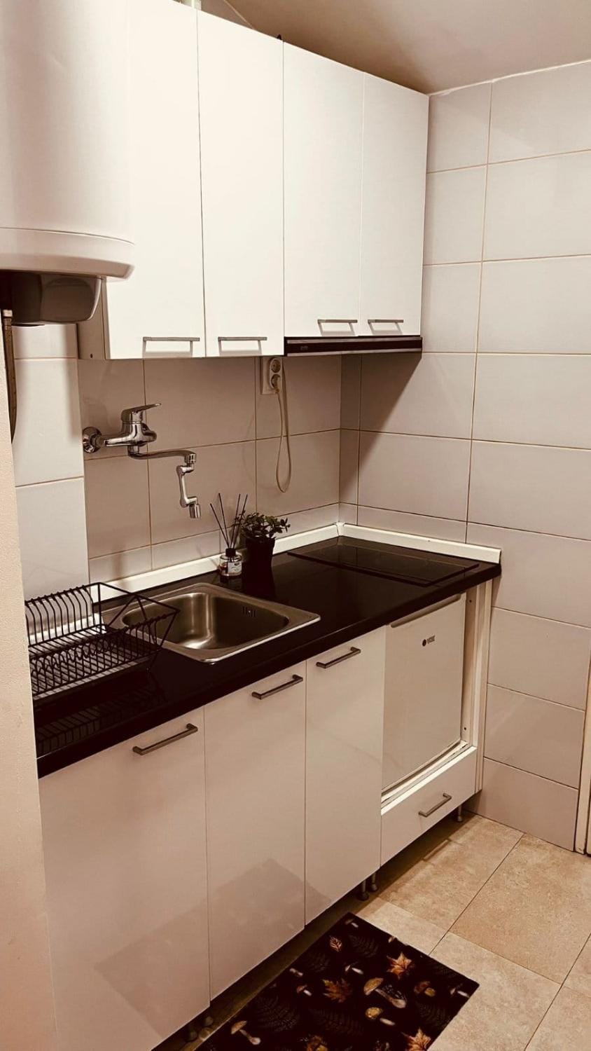 Low cost studio Zeleni Venac Apartment in Belgrade