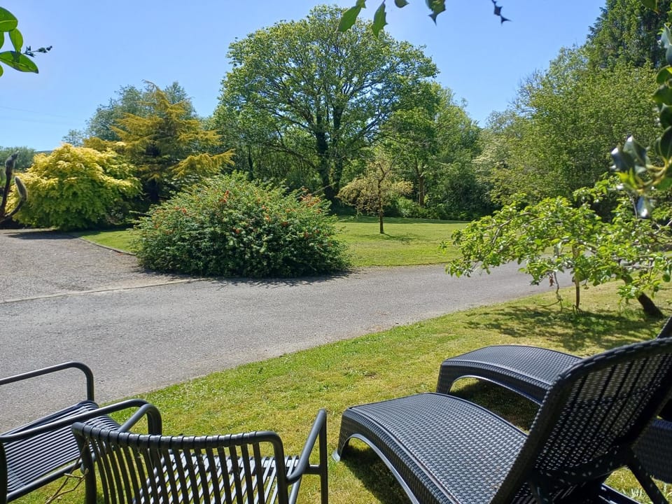 Garden view, sunbed