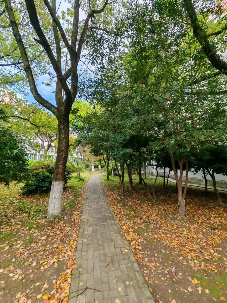 Shanghai Meiyinlin Guesthouse English Service VPN-embedded WiFi Free Laundry and Luggage Storage 宠物友好 客人专用卫浴间 临时停车位 共享厨房与客厅 商务娱乐设施齐全 周边市场与服务丰富便利 安静隔音 Vacation rental in Shanghai