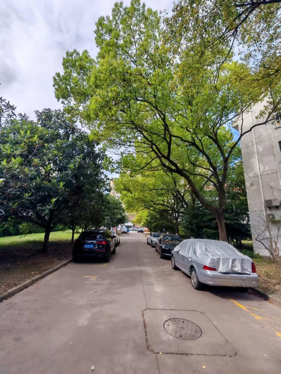 Shanghai Meiyinlin Guesthouse English Service VPN-embedded WiFi Free Laundry and Luggage Storage 宠物友好 客人专用卫浴间 临时停车位 共享厨房与客厅 商务娱乐设施齐全 周边市场与服务丰富便利 安静隔音 Vacation rental in Shanghai