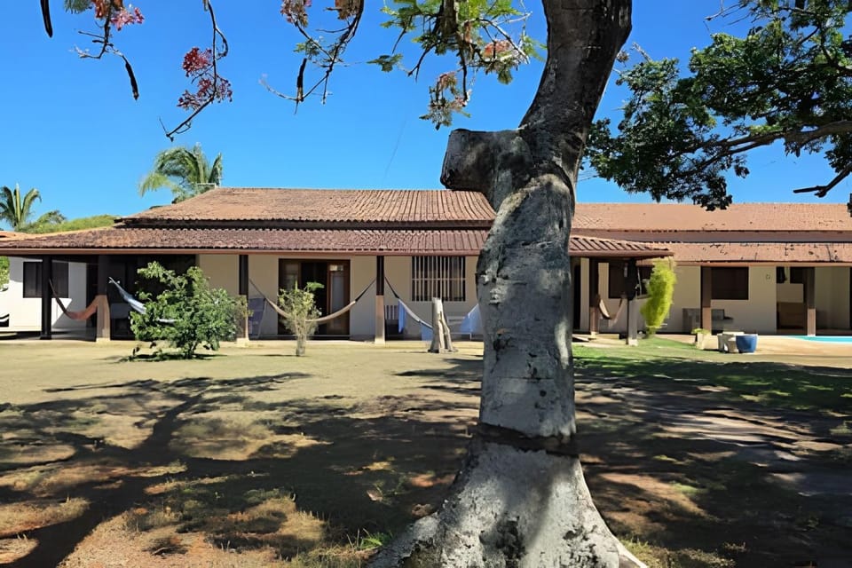 Garden, Garden view