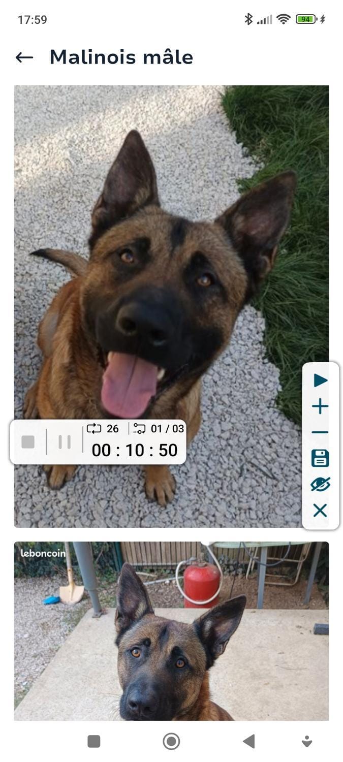 Chez Loulou Campground/ 
RV Resort in Saintes-Maries-de-la-Mer