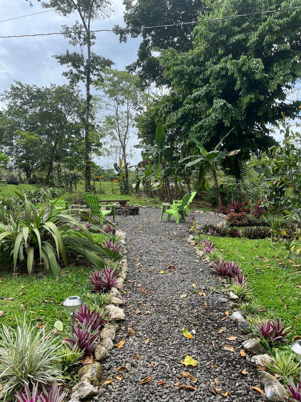Garden view