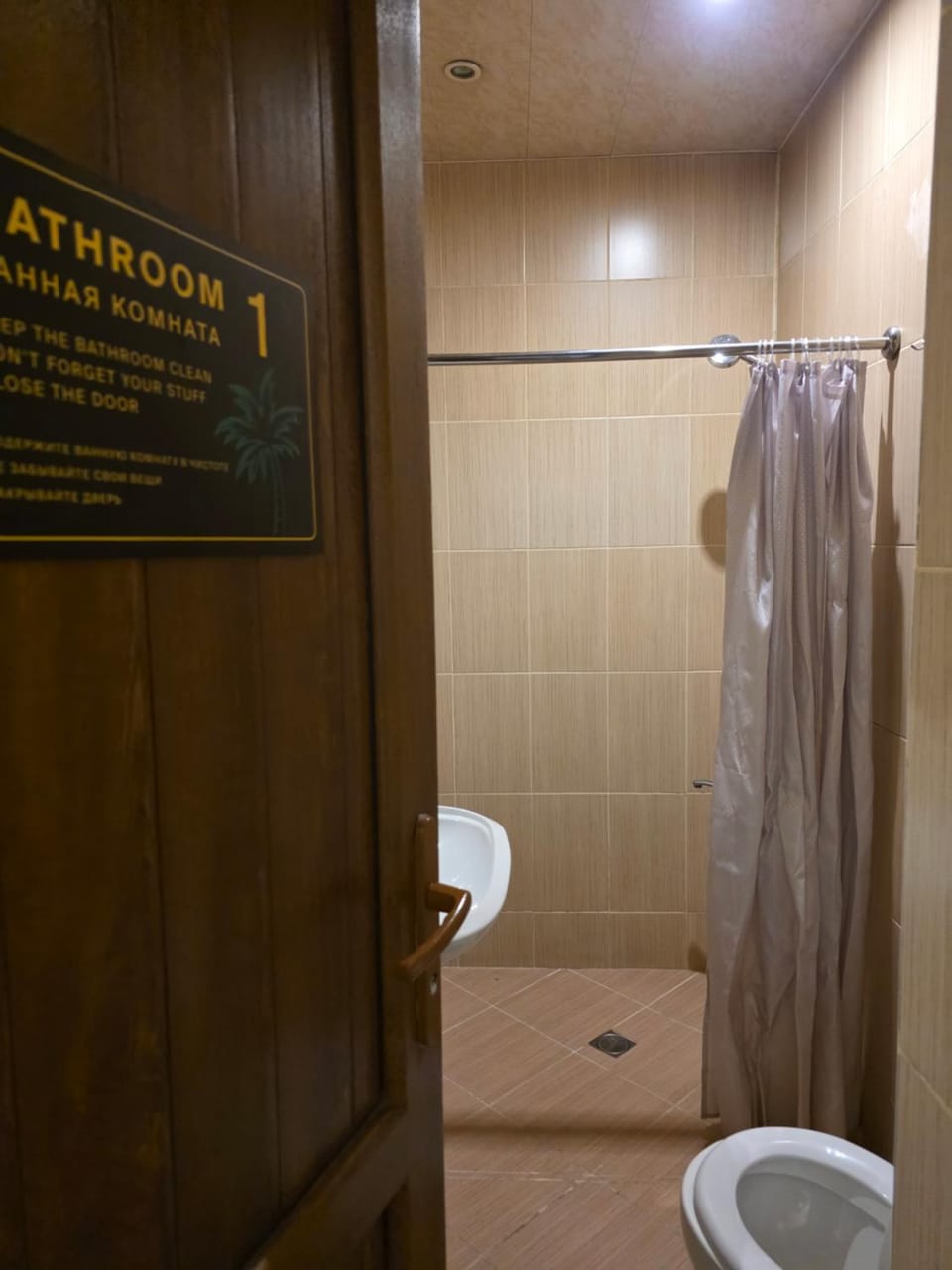 Shower, Toilet, towels