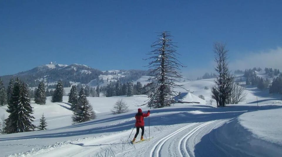 Col de la Faucille Apartment Apartment in Gex