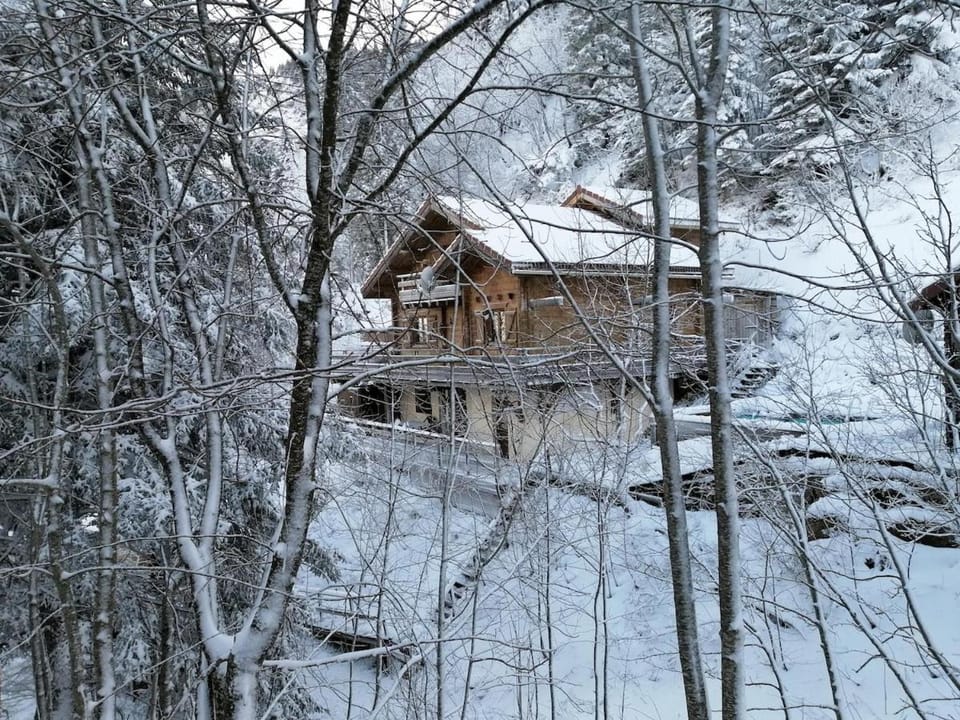 Col de la Faucille Apartment Apartment in Gex