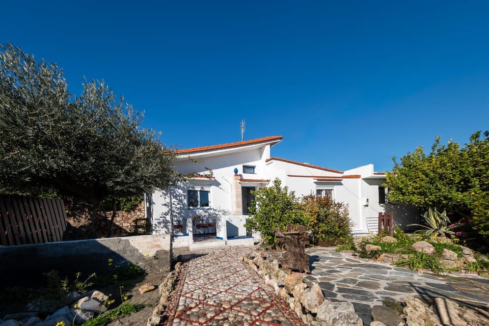 Garden, Garden view, Street view