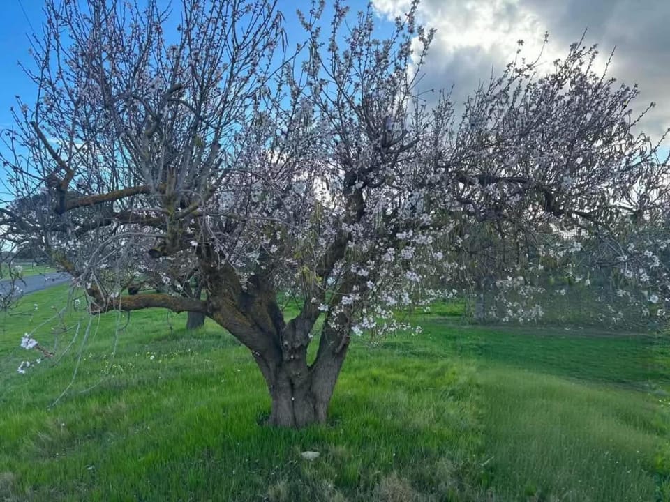 Natural landscape