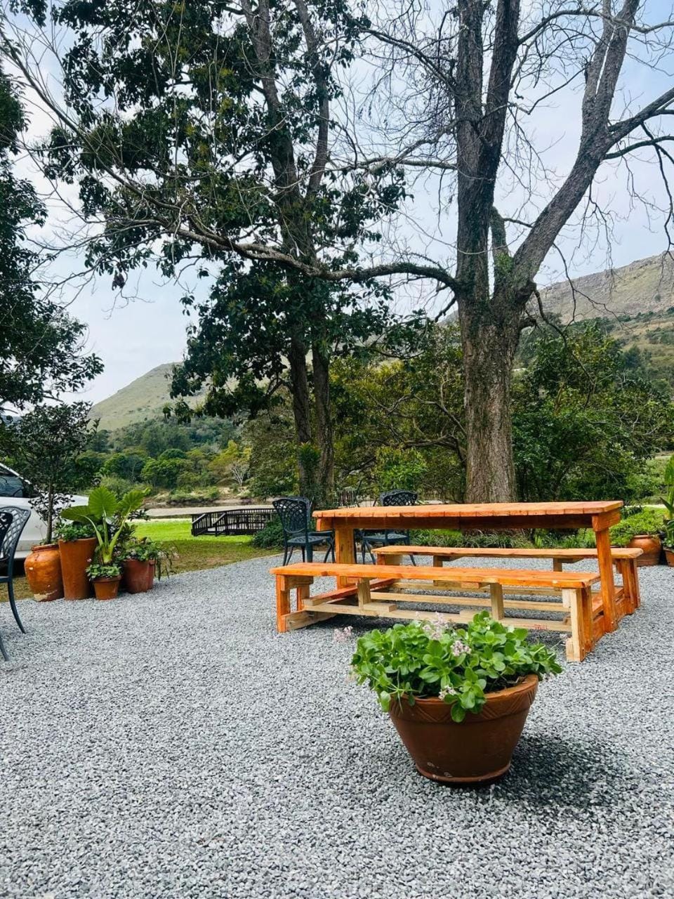 Lavender farm home Farm Stay in Eastern Cape