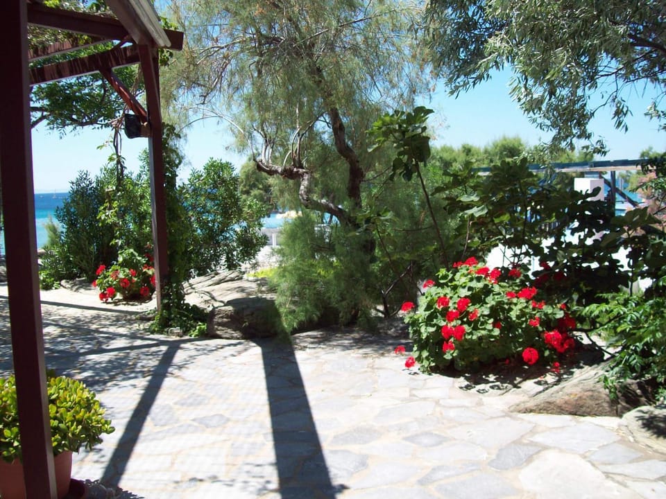 Oasis apartment 1 Apartment in Samos, Greece