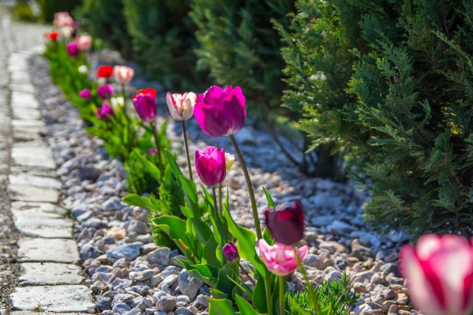 Natural landscape, Garden