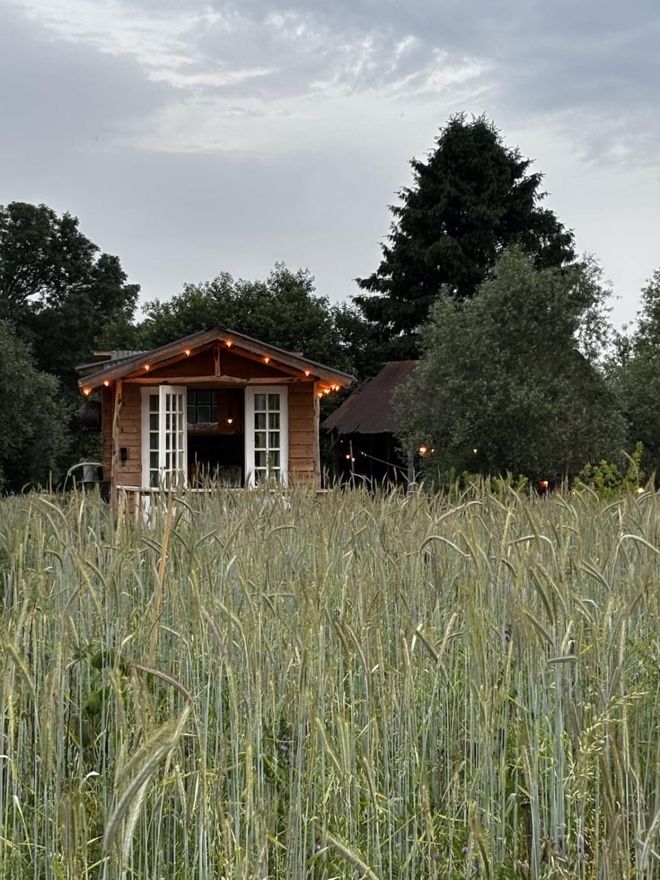 Property building, Day, Natural landscape