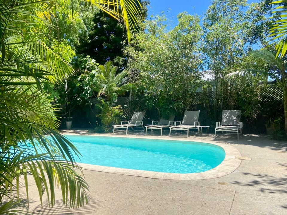 Spring, Day, Garden view, Pool view, Swimming pool, Swimming pool, sunbed