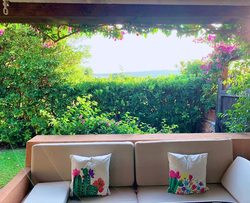 Patio, Garden