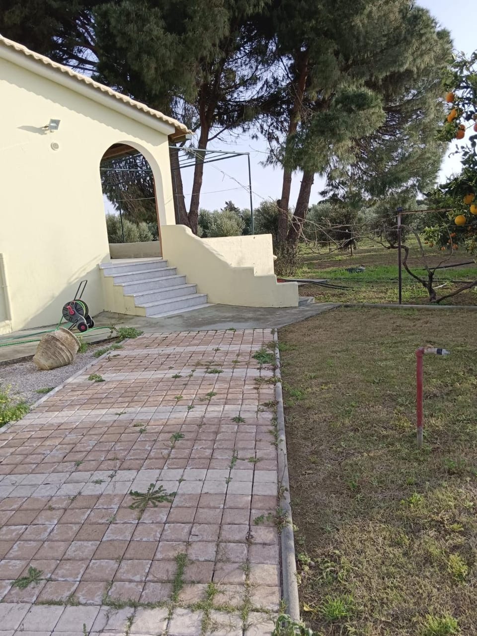 Property building, Spring, Garden, Garden view
