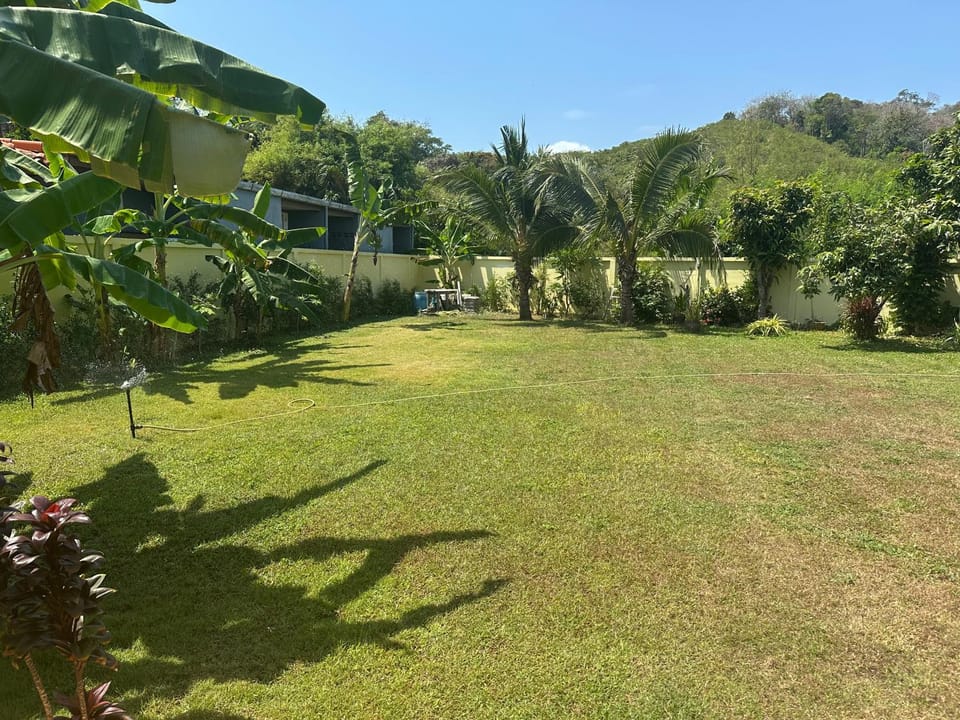 Garden, Spa and wellness centre/facilities, Garden view