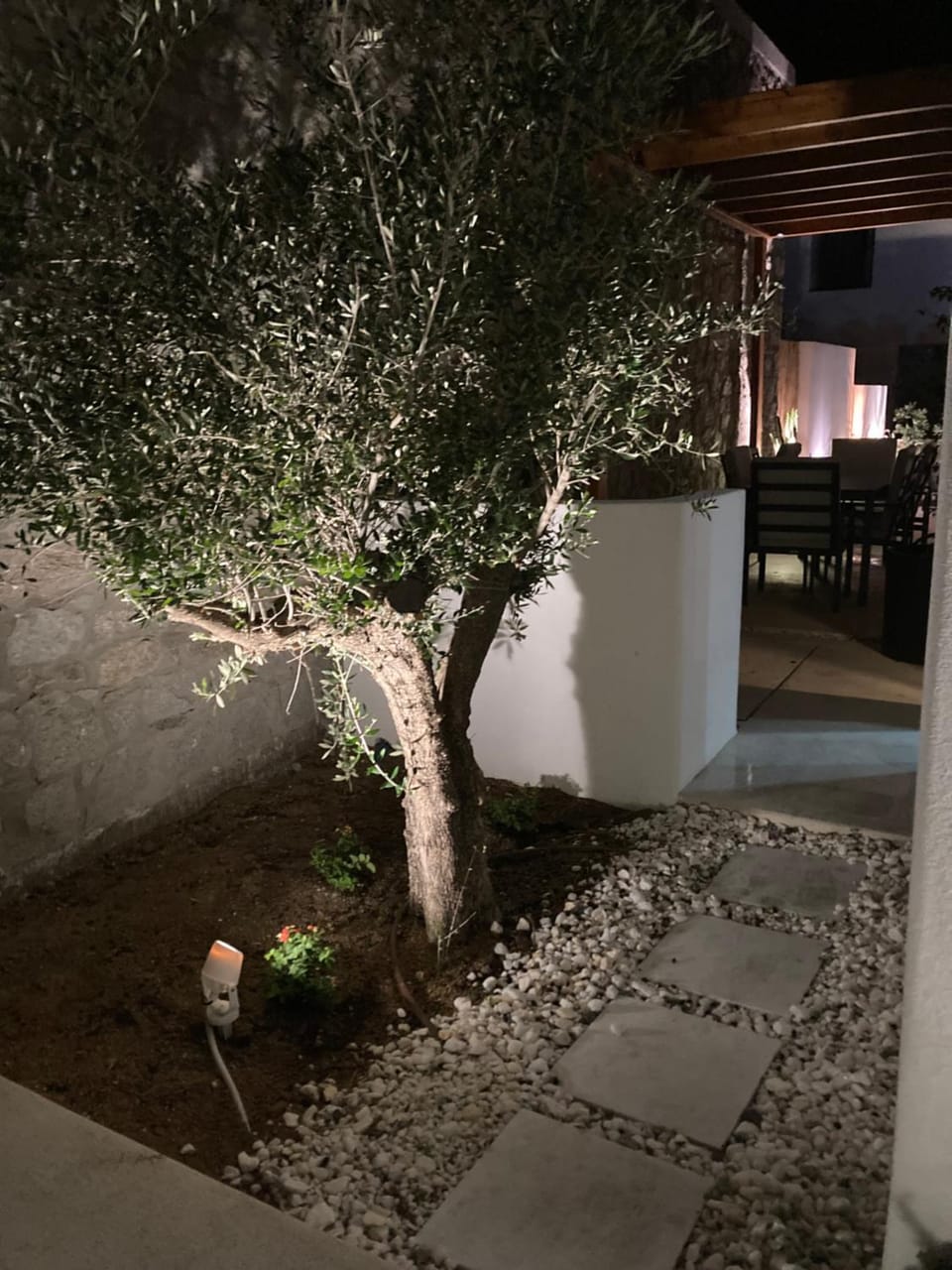 Night, Garden