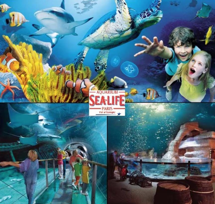 Family Home, Disney Sauna & SPA Villa in Île-de-France