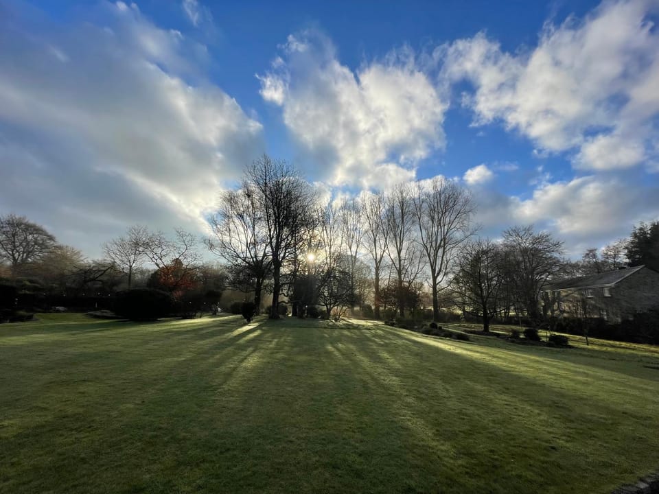 Garden view