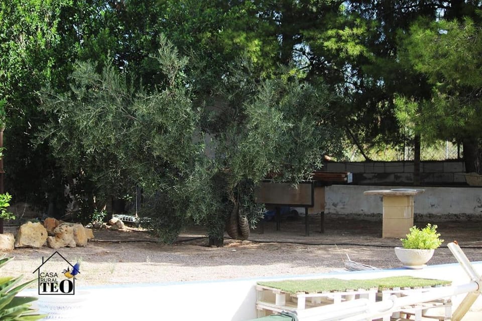 Natural landscape, Garden, Garden view