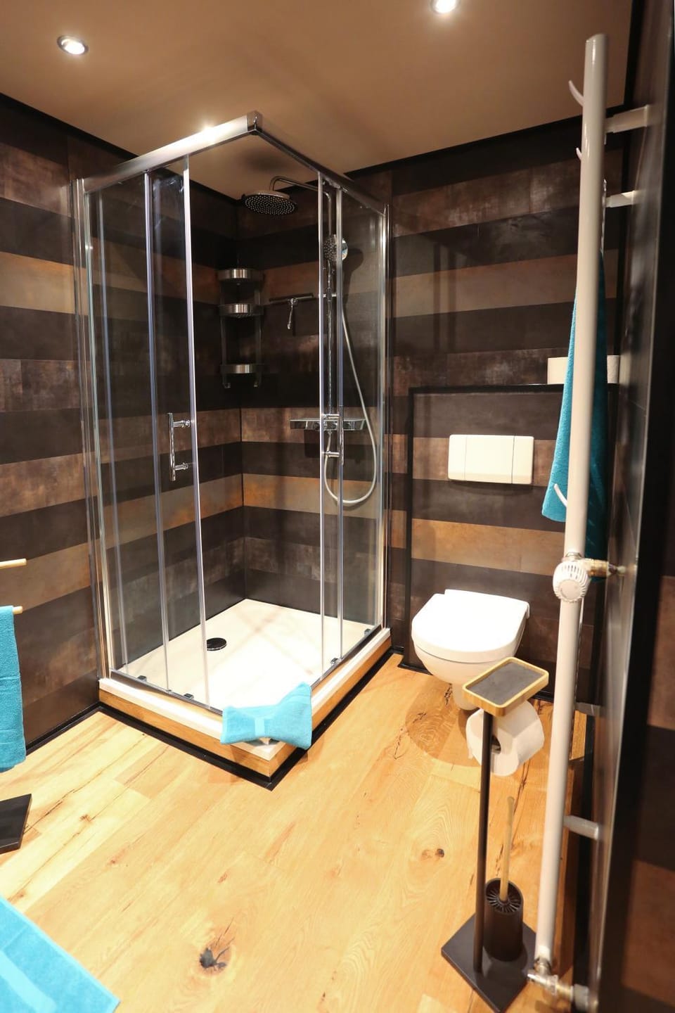 Bathroom, Living room