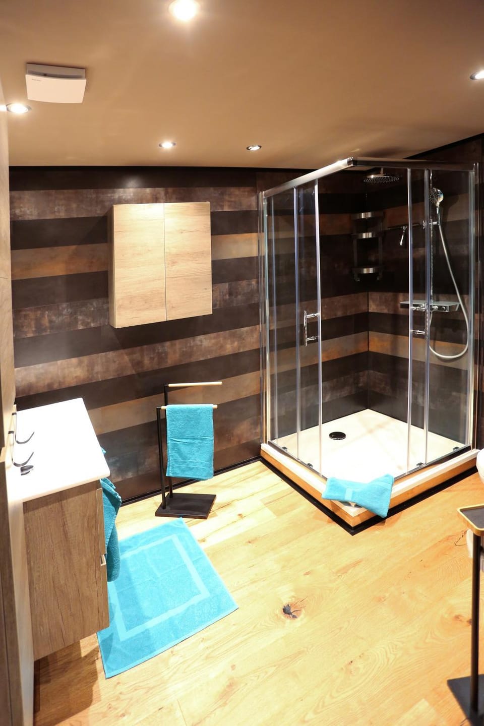 Bathroom, Living room
