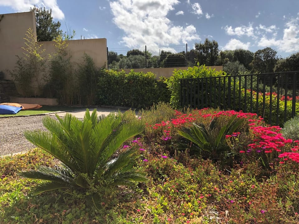 Spring, Day, Natural landscape, Garden, Garden view
