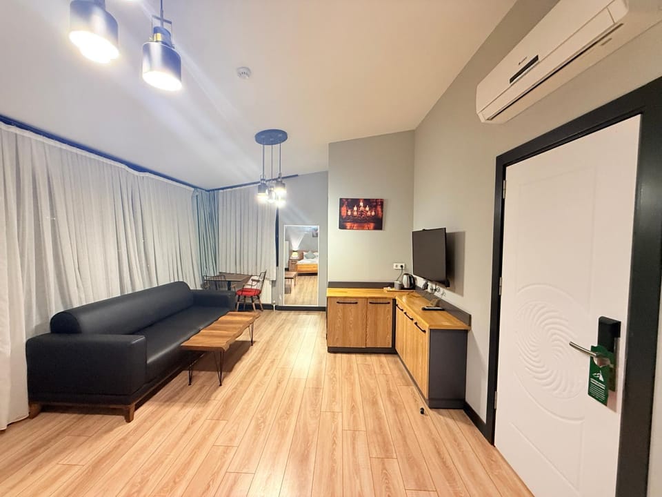 Communal lounge/ TV room, TV and multimedia, Kitchen or kitchenette, Living room, Seating area, Evening entertainment, minibar, oven, air conditioner