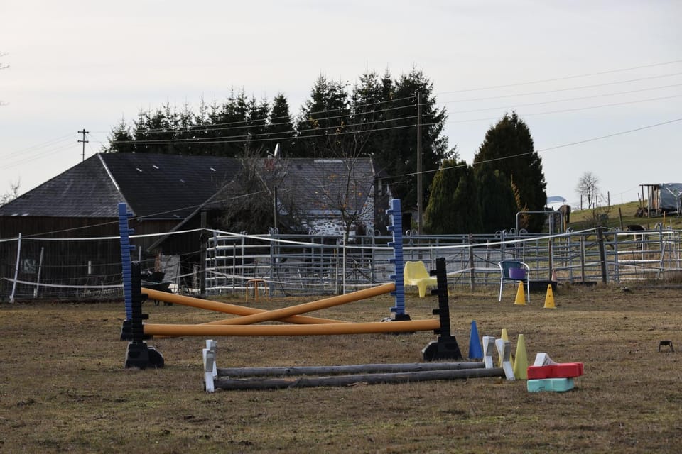 Property building, Horse-riding