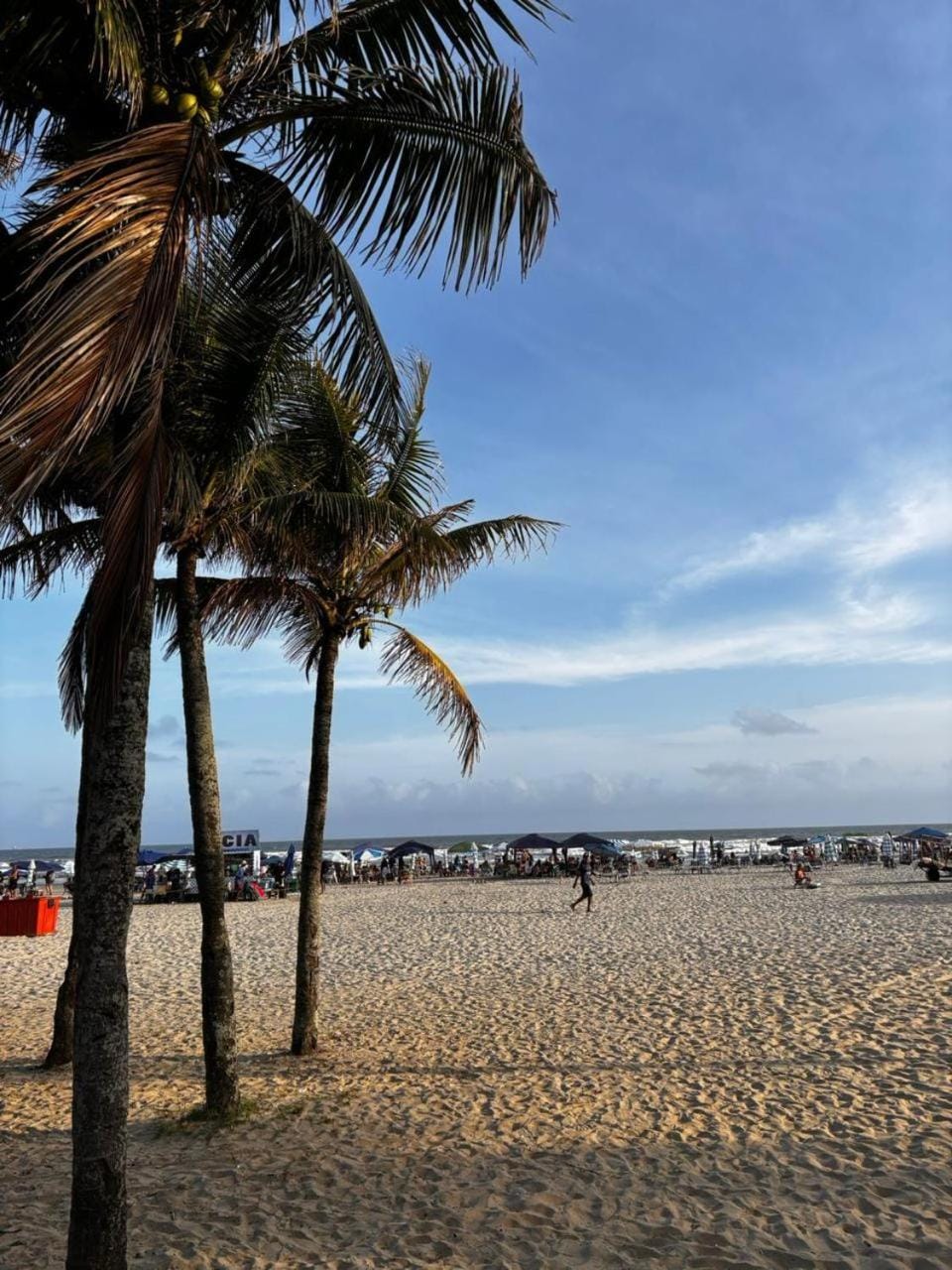 Nosso Cantinho Ocian Praia Grande Apartment in State of São Paulo