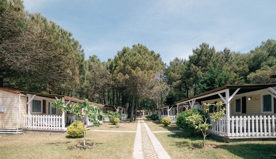 Property building, Natural landscape, Garden, Garden view
