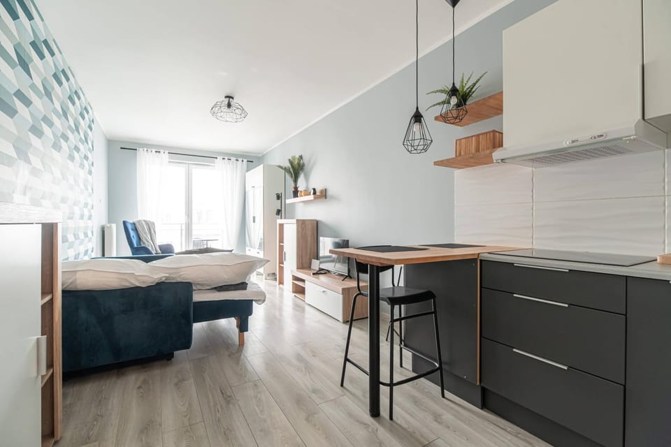 Bed, Kitchen or kitchenette, Living room, Photo of the whole room, Seating area, Dining area