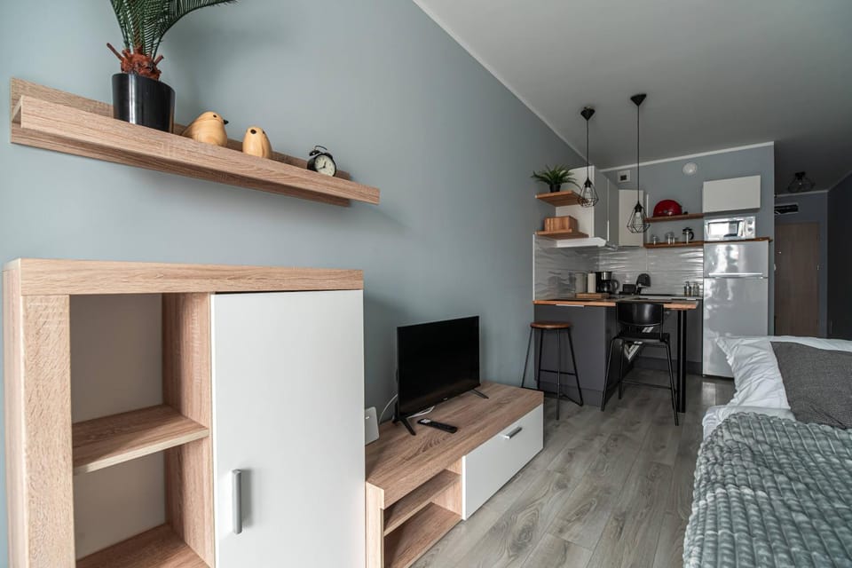 Bed, TV and multimedia, Kitchen or kitchenette, Living room, Photo of the whole room, Seating area, Evening entertainment, oven