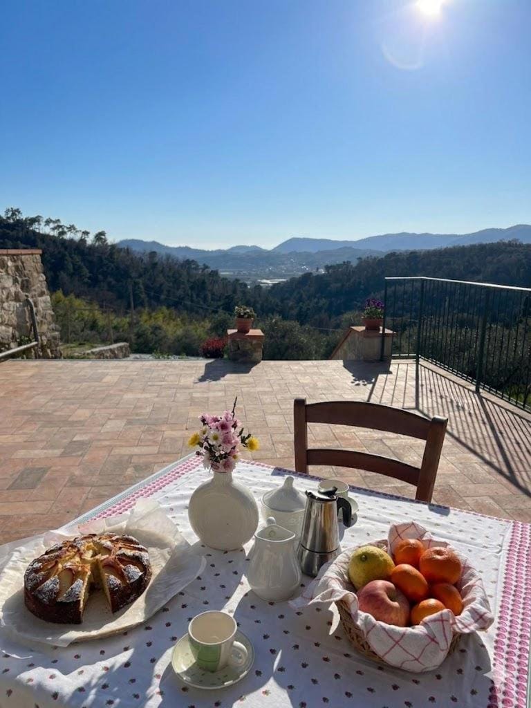 Summer, Balcony/Terrace, Garden view