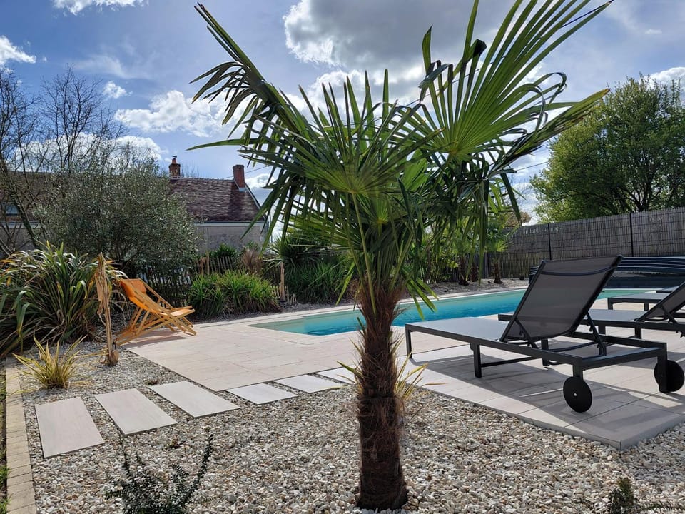 Patio, Swimming pool, sunbed
