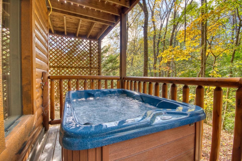 Pigeon Forge Waterworld #2449 House in Pigeon Forge